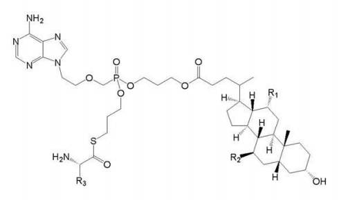 专利审查指南219668.png 专利审查指南219668.png