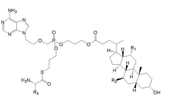 d17148c2ad3142379c5386bcbdff7410.jpg d17148c2ad3142379c5386bcbdff7410.jpg